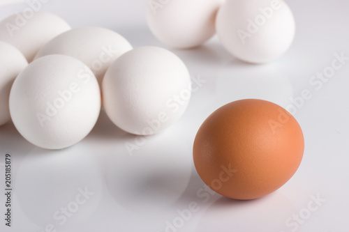 Individuality, uniqueness. Group of white eggs and one beige, concept exclusivity, better choice, loneliness, rejection.