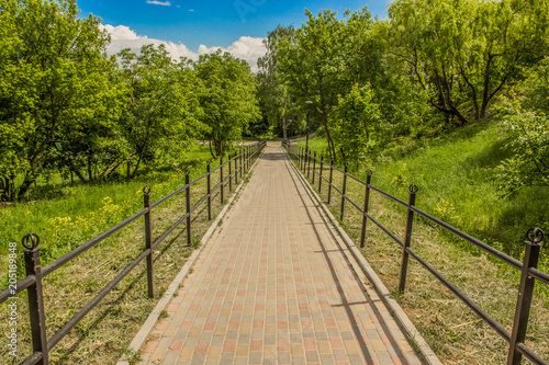  road between trees in park