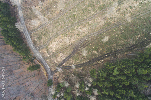 aerial drone flight with copter over deforested forest in austria in march