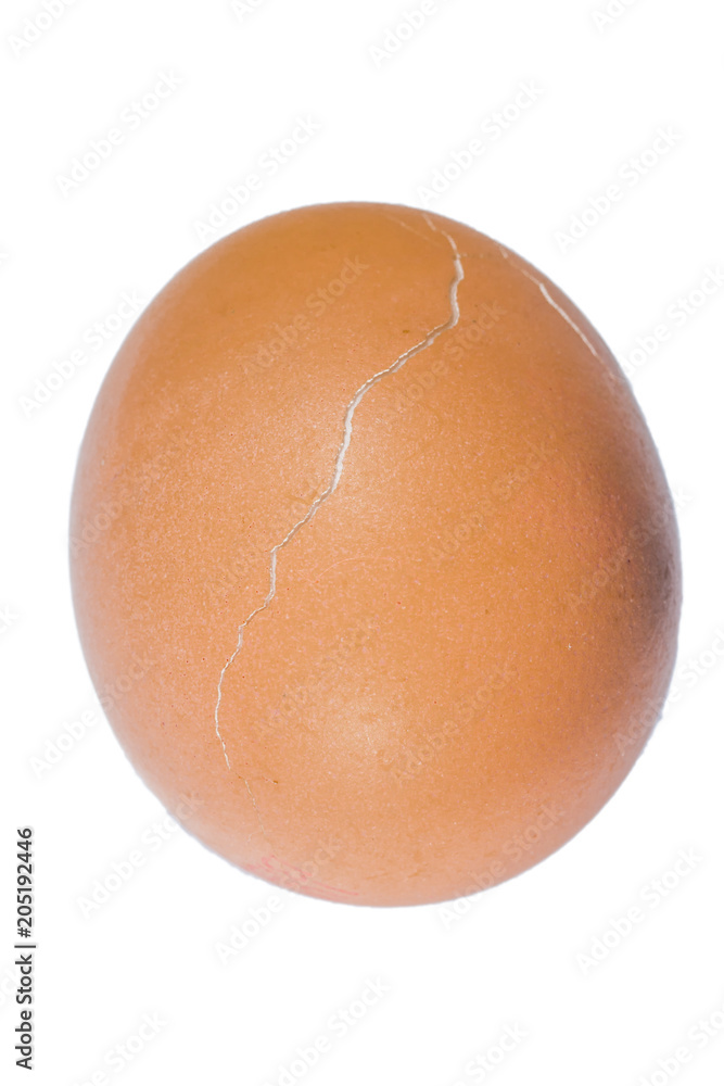 Chicken egg with a transverse crack Chicken egg with a transverse crack