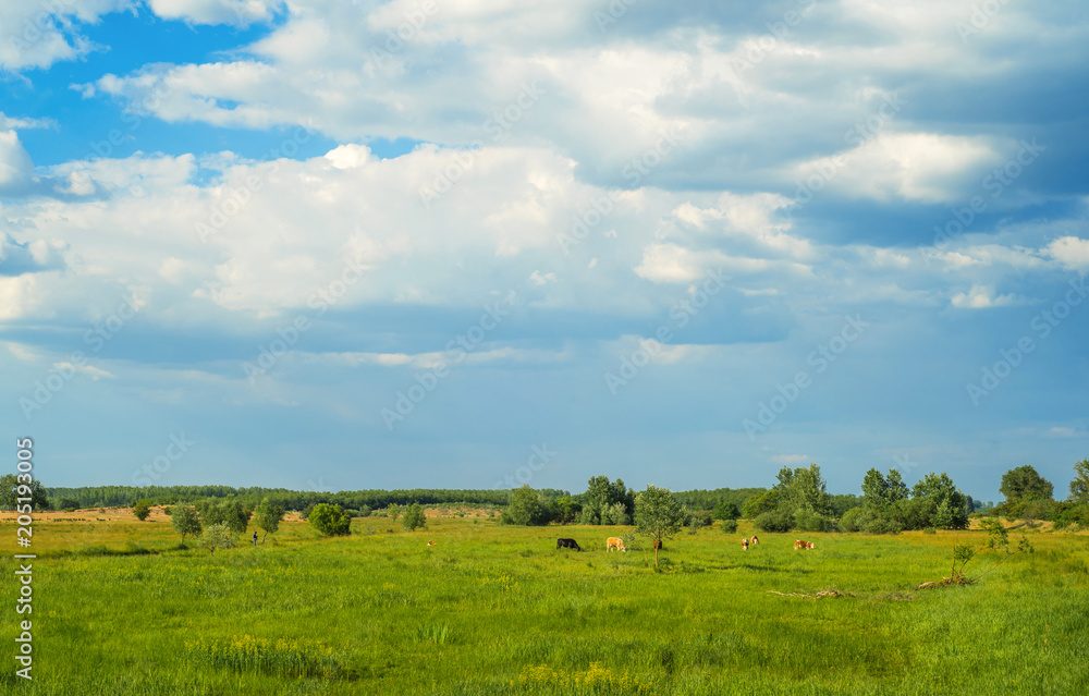 Plain landscape background