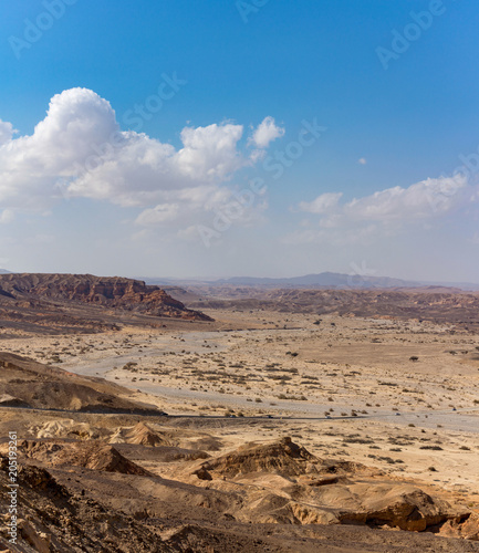 Asphalt road in desert Negev, Israel, road 40, transport infrast © barmalini