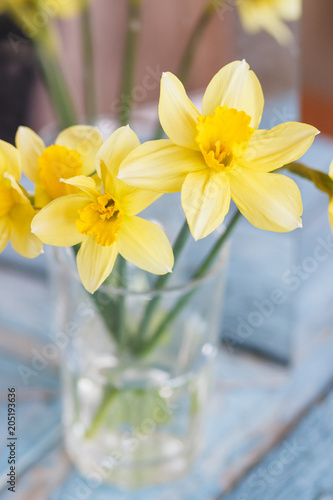 Fototapeta Naklejka Na Ścianę i Meble -  A bouquet of yellow narcissus in the glass vase