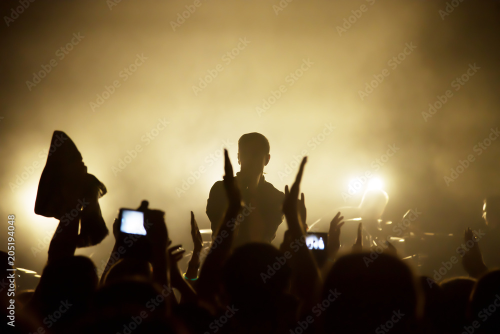 Fototapeta premium Silhouettes of people in a bright in the pop rock concert in front of the stage. Hands with gesture Horns. That rocks. Party in a club