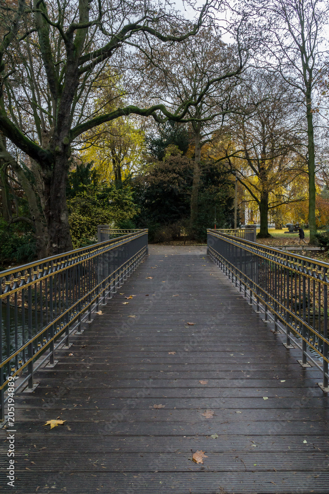 Bridge in park