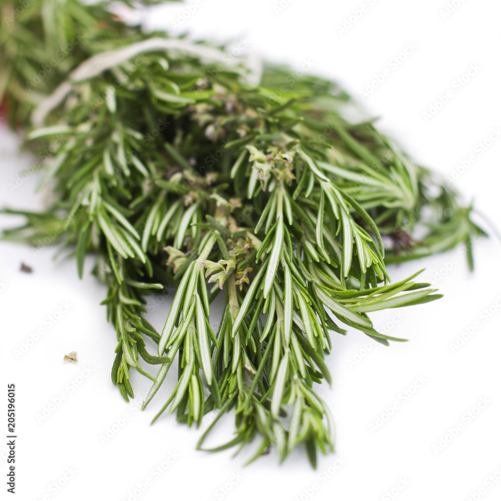 A fresh rosemary on a white background A fresh rosemary on a white background
