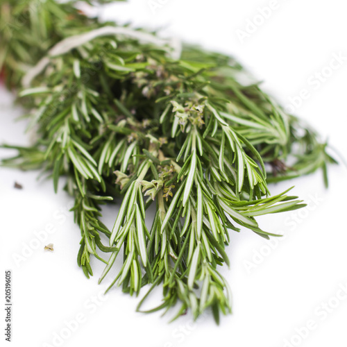 A fresh rosemary on a white background