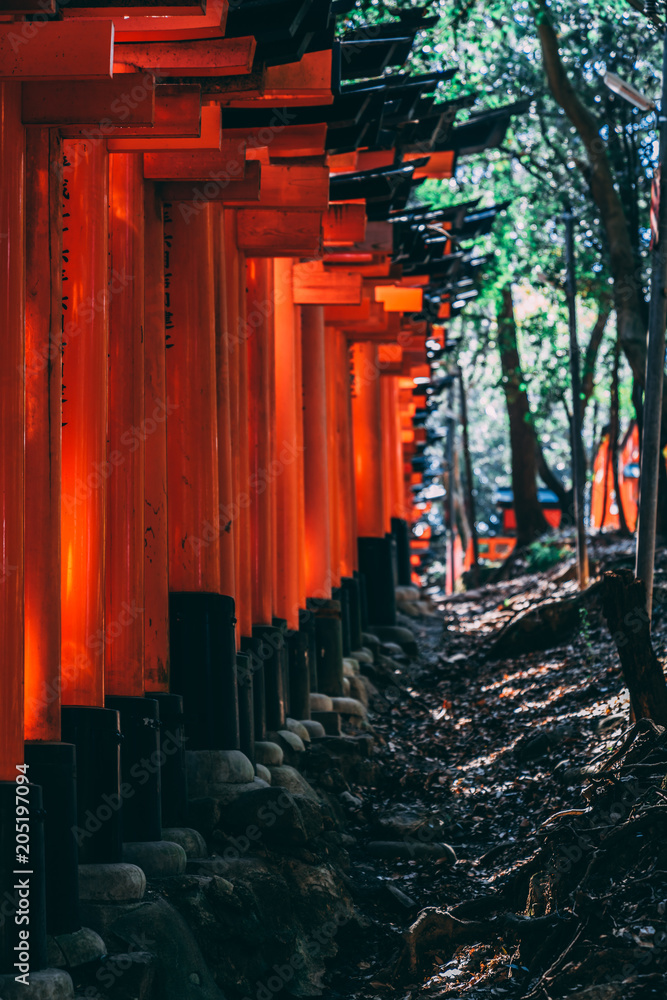 Gates of Fushimi Inari Gates of Fushimi Inari