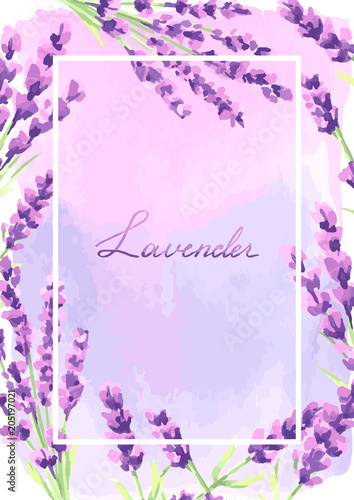 Fototapeta Naklejka Na Ścianę i Meble -  Lavender flowers background design.