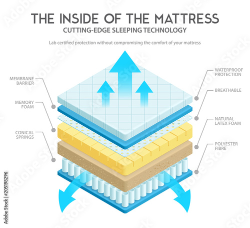 Mattress Anatomy Illustration 