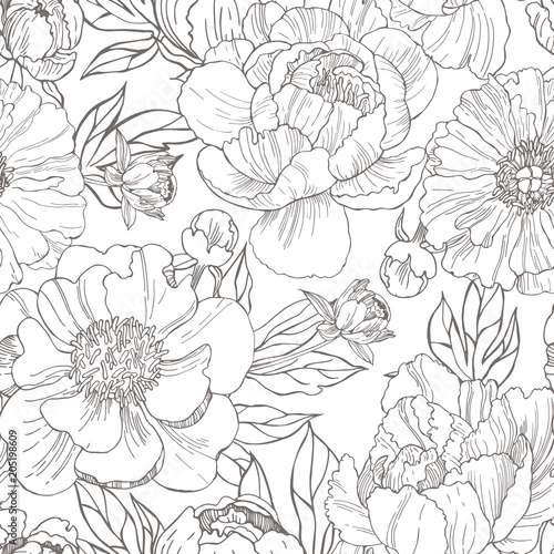  Hand drawn peonies. Vector seamless pattern.