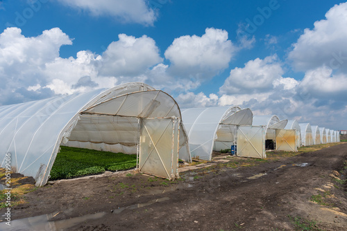 greenhouses ready for planting fruits and vegetables © blanke1973