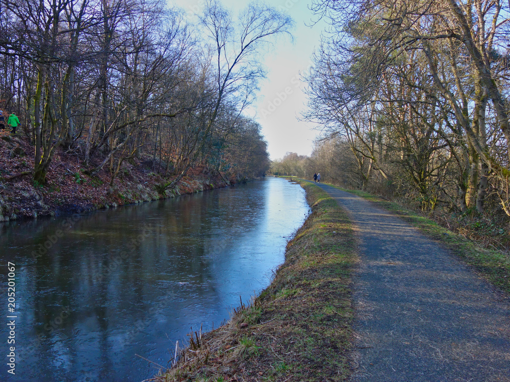 Fototapeta premium Forest Walk - area close to the Falkirk Wheel- picture shows the tranquil walking area beside the Forth and Clyde canal.