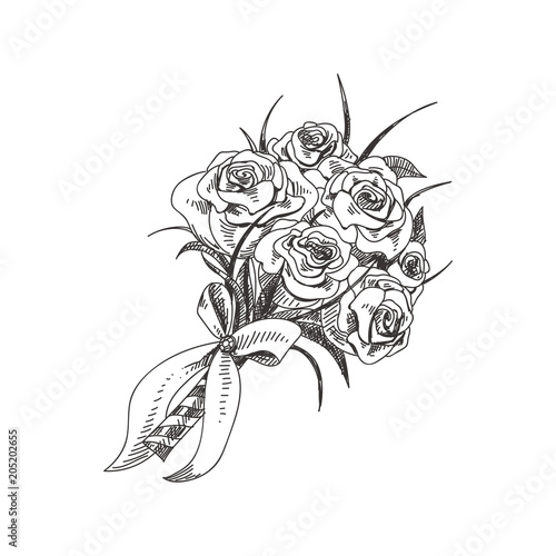 Beautiful vector hand drawn bouquet of roses Illustration.