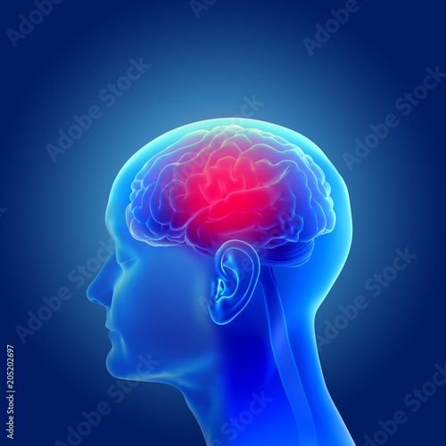 3d illustration of the human head