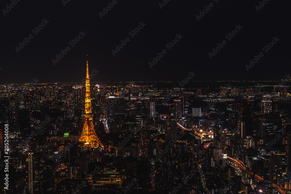 View of Tokyo at Night