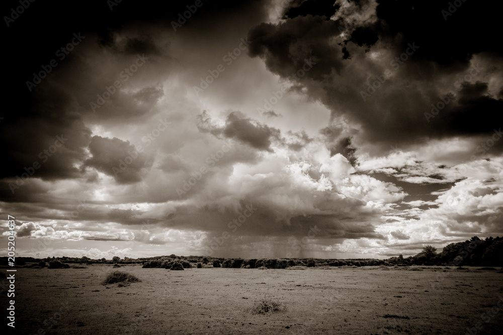 Storm clouds. Black and white photo. 