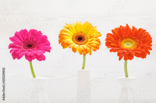 Fototapeta Naklejka Na Ścianę i Meble -  Three gerbera flowers in vase on white wooden table. Daisy flower