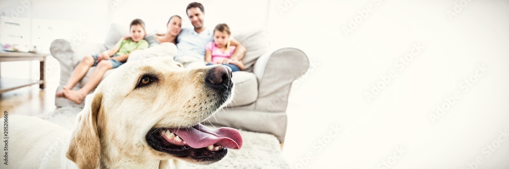Happy family sitting on couch with their pet yellow labrador in - obrazy, fototapety, plakaty 