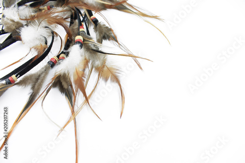 White background with beige feathers