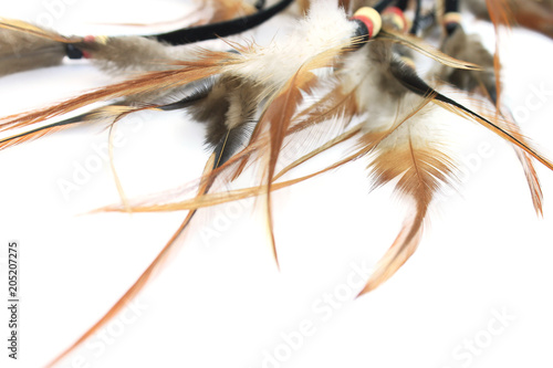 White background with beige feathers