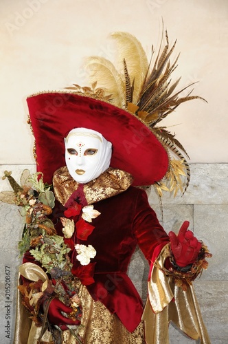 Maske, Carneval, Carnevale, Karneval in Venedig, Venetien, Italien, Europa ©  Egon Boemsch