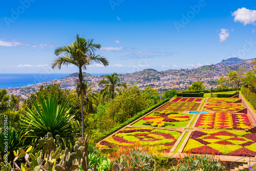 Botanical garden in Funchal, Madeira island, Portugal photo
