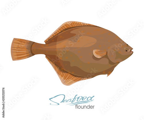 Olive Flounder. Vector illustration sea fish isolated on white background. Icon badge flounder fish for design seafood packaging and market.