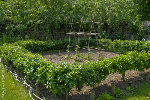 Jardin médéval photo