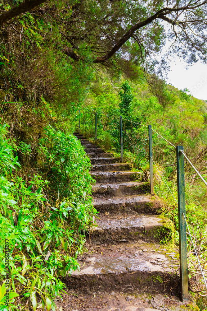 Levada das 25 fontes and levada do risco, Madeira Island, Portugal Levada das 25 fontes and levada do risco, Madeira Island, Portugal