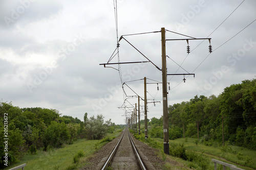 Single Railroad pass through the forest