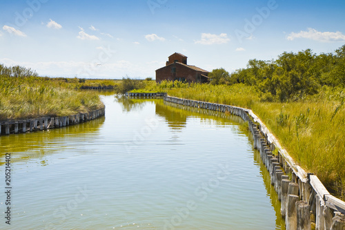 Fotografia The Comacchio valleys are known worldwide for eel fishing - UNESCO protected are