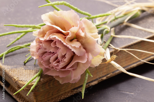 Fototapeta Naklejka Na Ścianę i Meble -  Nelke