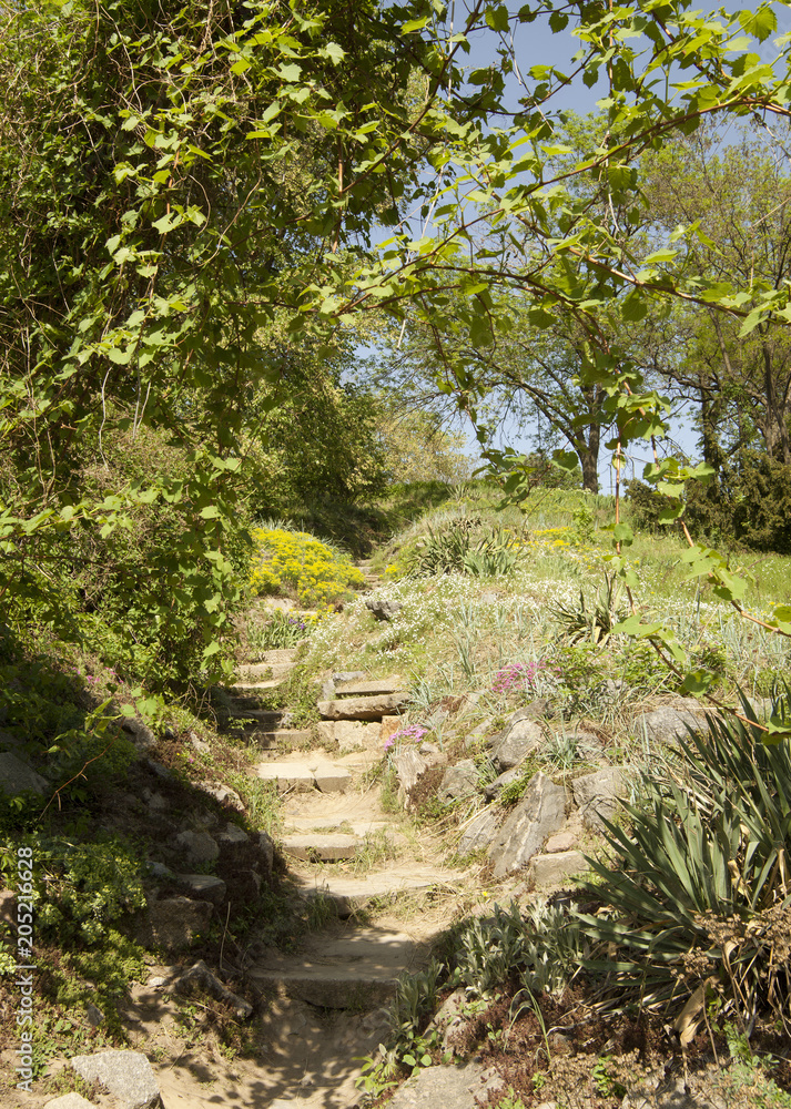 Stone stairs in green sunny garden. Summer path in beautiful garden Stone stairs in green sunny garden. Summer path in beautiful garden