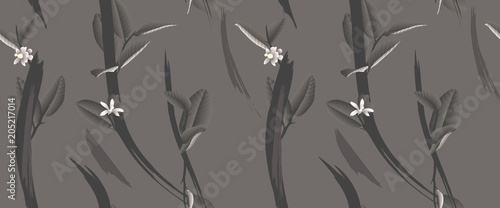 Fototapeta Naklejka Na Ścianę i Meble -  Seamless pattern, hand drawn white flowers with leaves on dark gray background