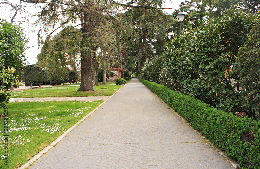 Road in the park in spring Road in the park in spring