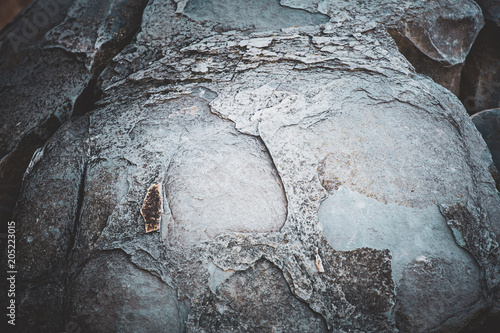 Tela Moeraki Boulders close up images