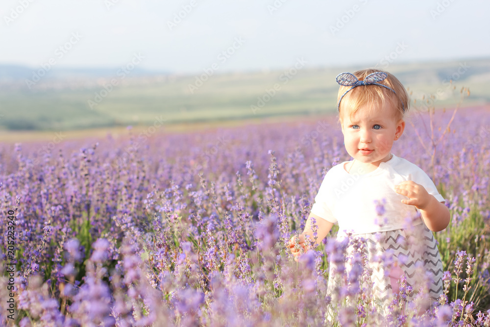 Happy little girl on a lavender background. Cute baby playing in meadow field. Family holiday in summer day. Happy little girl on a lavender background. Cute baby playing in meadow field. Family holiday in summer day.