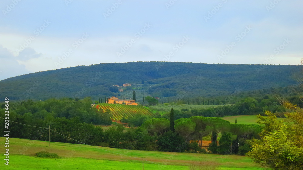 Obraz premium Chianti landscape