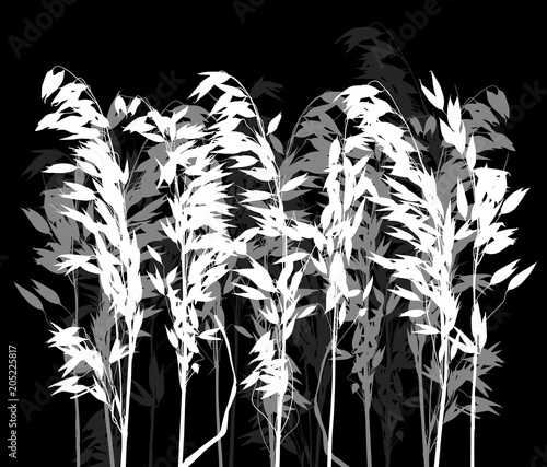 grey and white silhouettes of oats on black