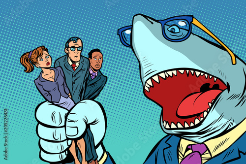 Shark boss business and office staff