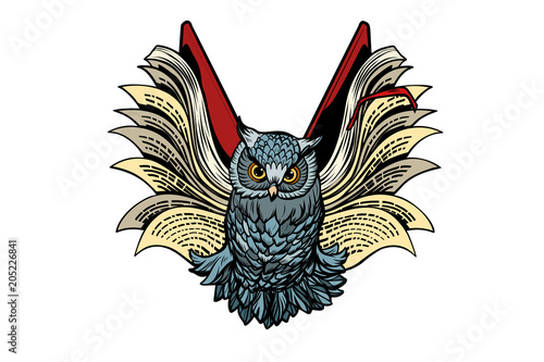 owl book flies, isolate on white background