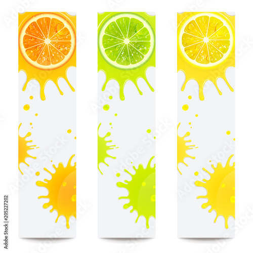 Banners with Juicy Citrus Fruits