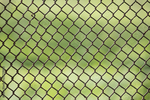 metal net on green