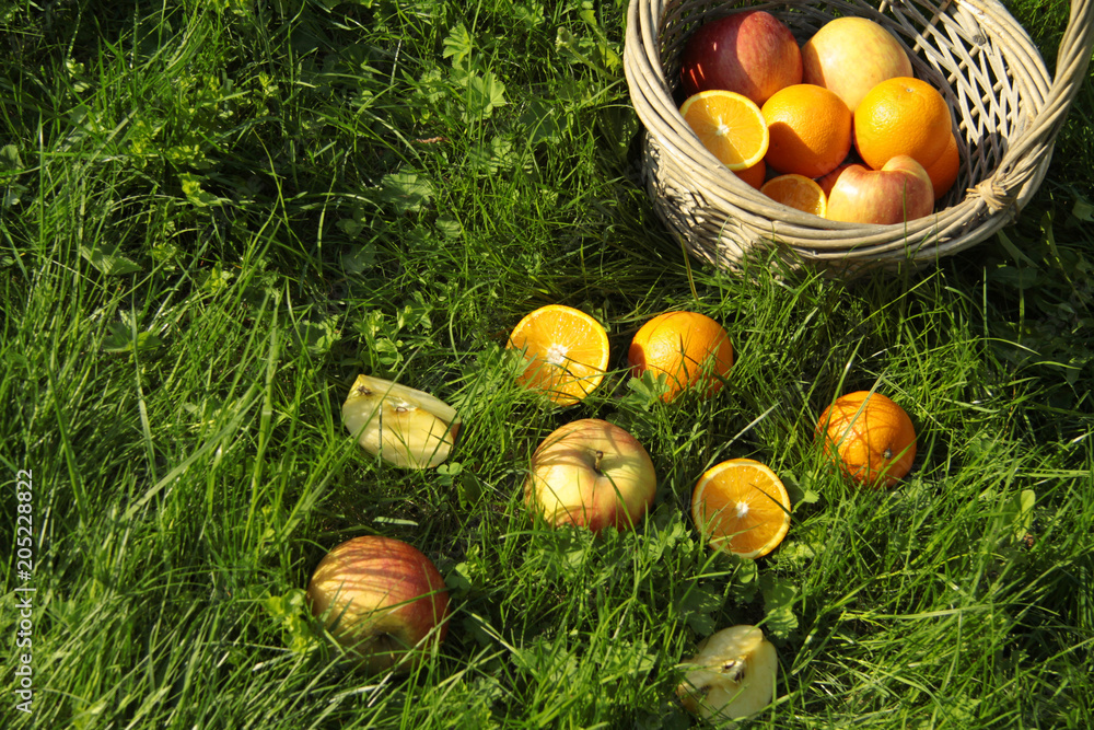 Apples and oranges, fruits on green grass, picnic Apples and oranges, fruits on green grass, picnic