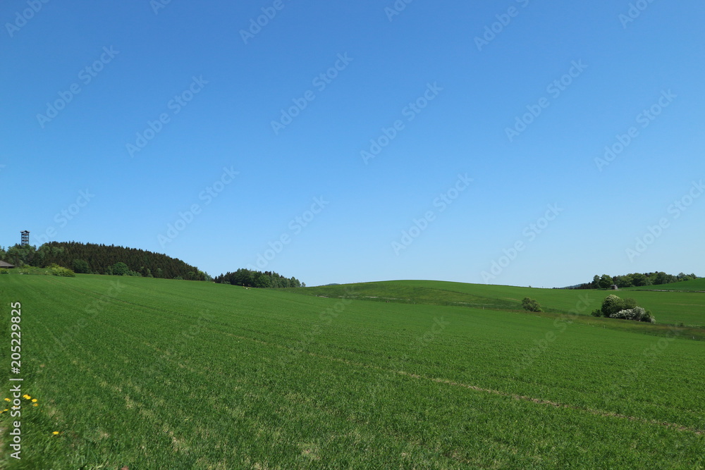 Fototapeta premium Weifberg bei Hinterhermsdorf und Umgebung