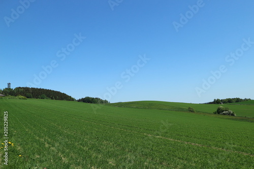 Weifberg bei Hinterhermsdorf und Umgebung © Kay