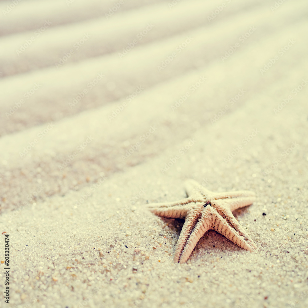 Starfish on sea sand, top view, copy space. Sea background. Beach rest Starfish on sea sand, top view, copy space. Sea background. Beach rest