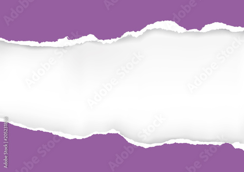 Violet ripped paper background. 
llustration of violet ripped paper with place for your image or text. Vector available. 
