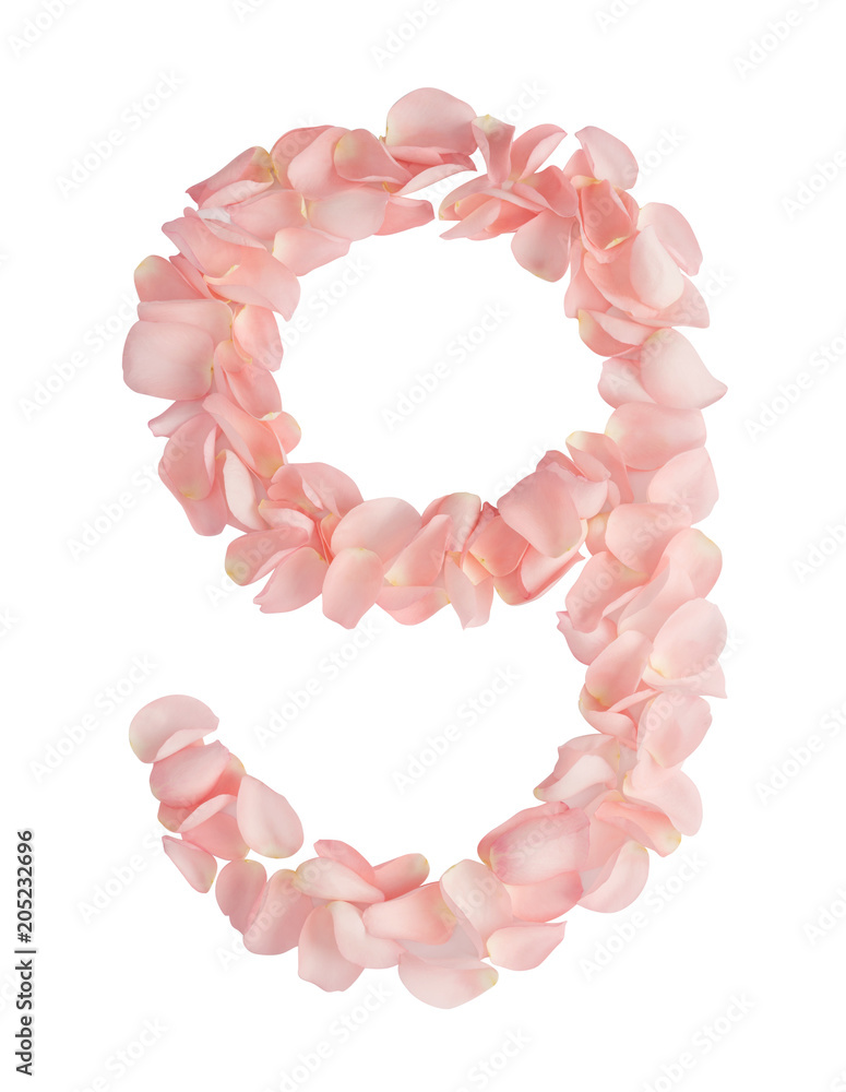 Obraz premium Number 9 Made of Flowers. Number Monogram